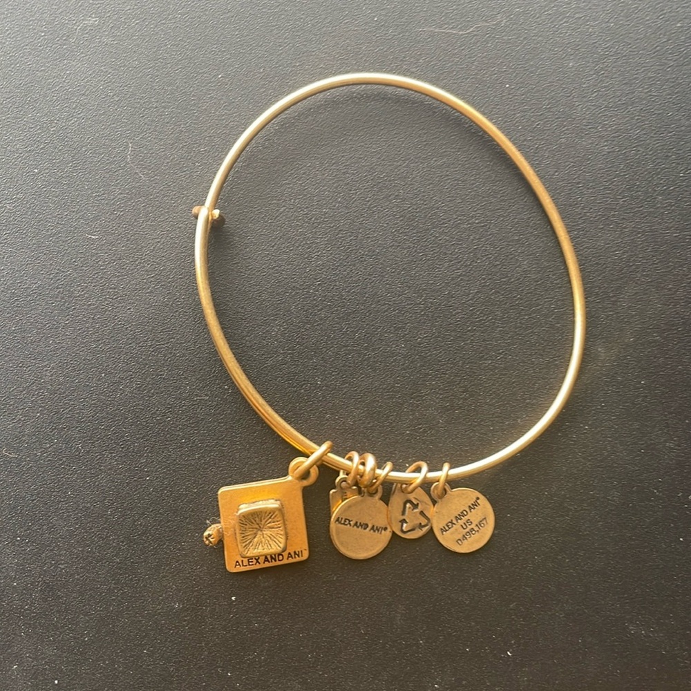 Alex & Ani Bracelet